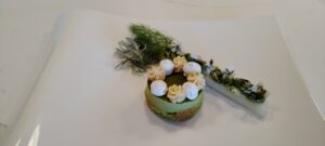 aspergelemasdecotignac1