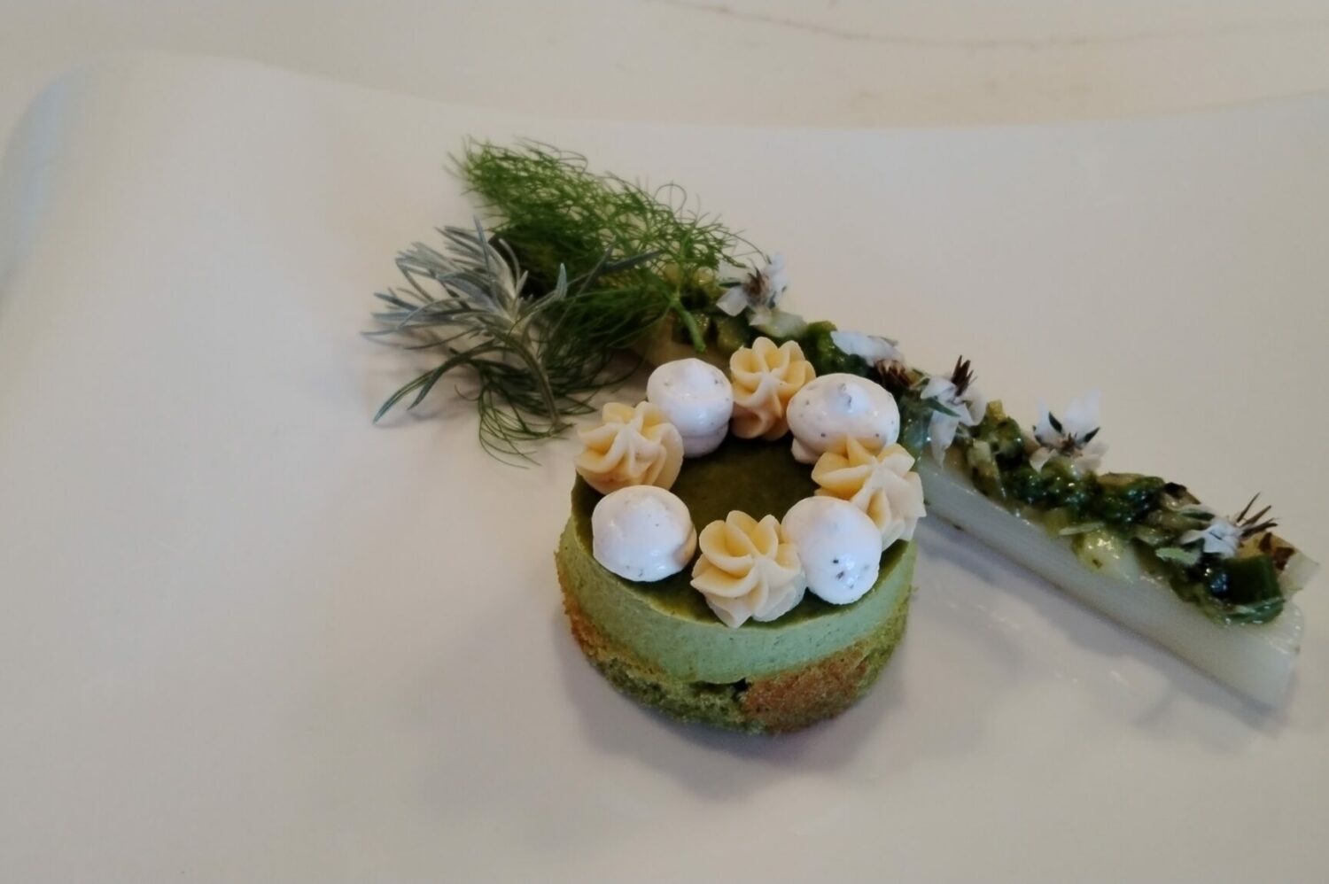 aspergelemasdecotignac1