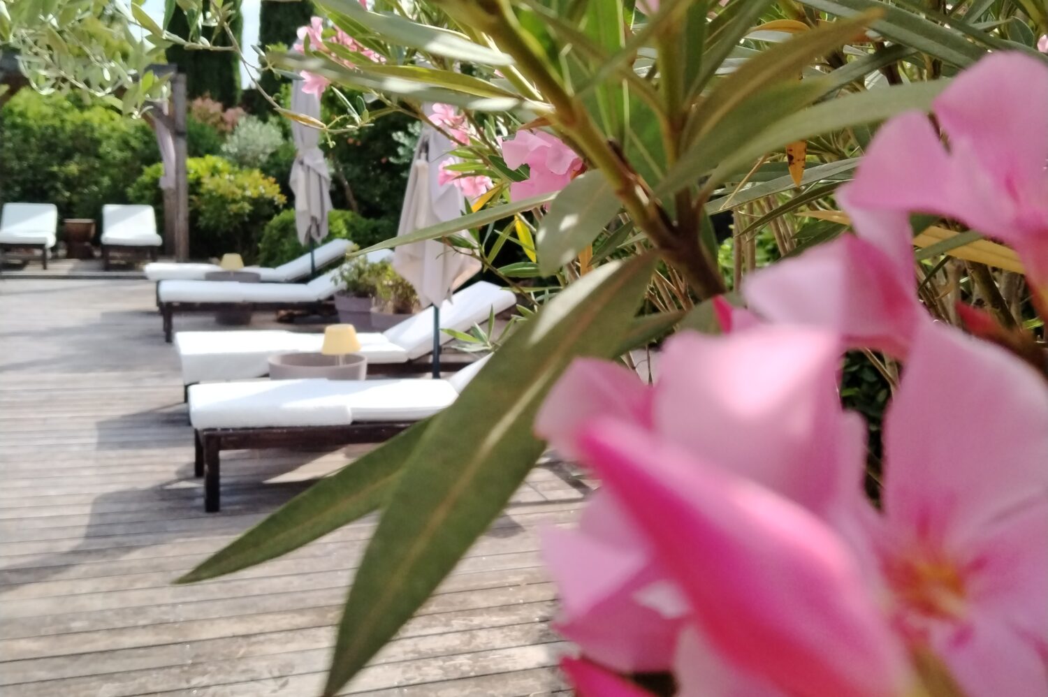 jardinmasdecotignac