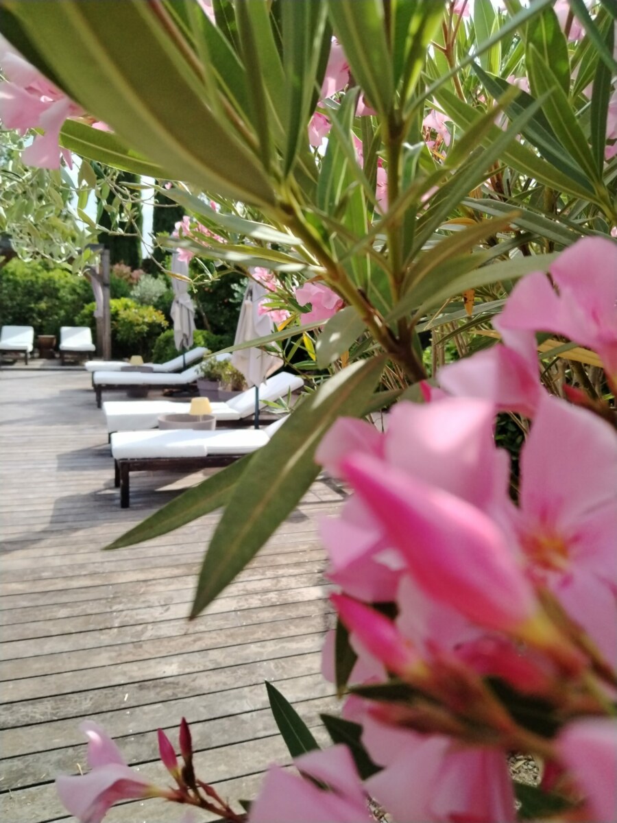 jardinmasdecotignac