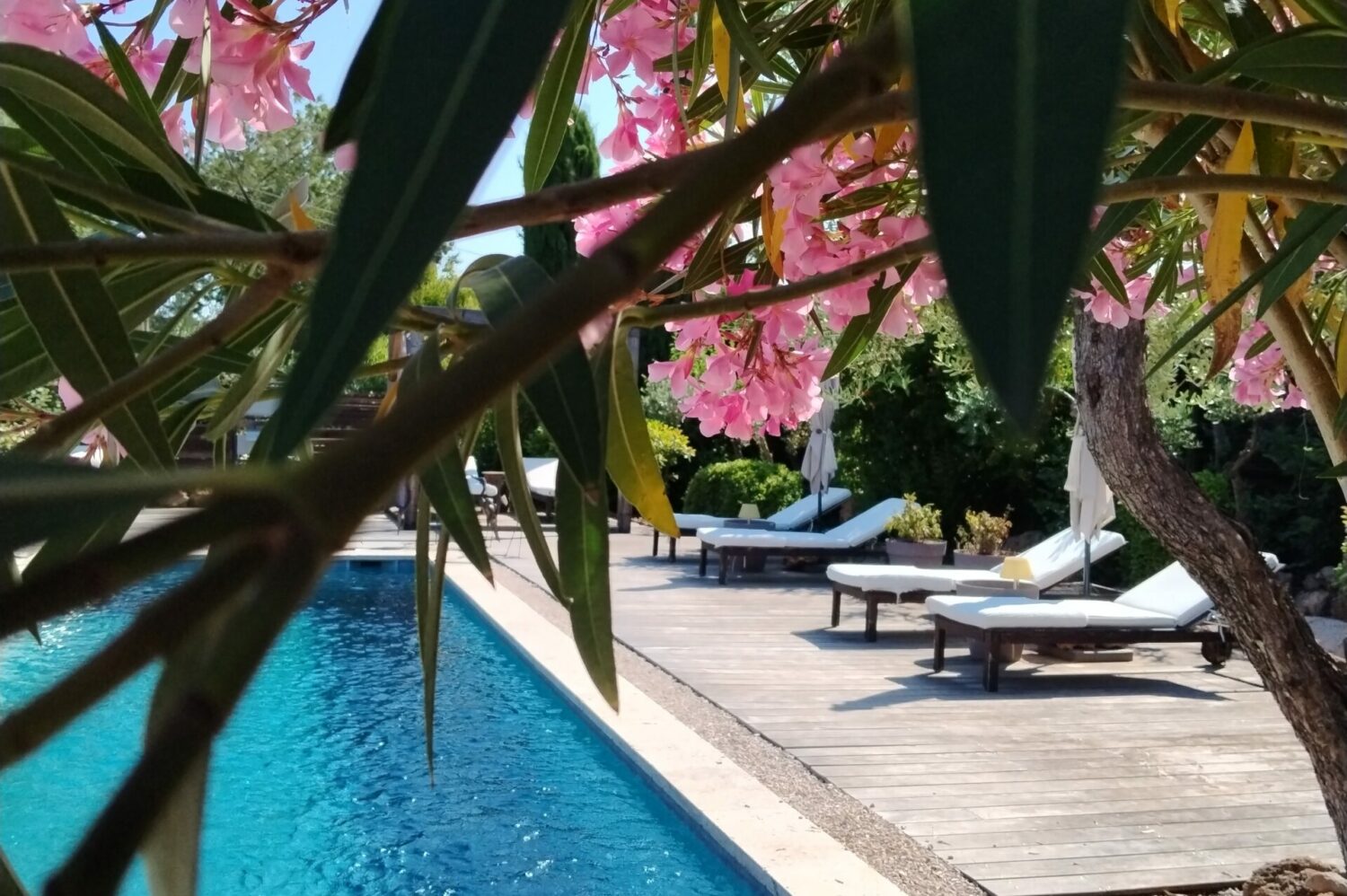 piscinemasdecotignac270625