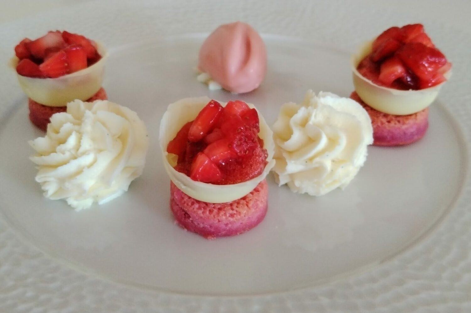 fraises042026lemasdecotignac03
